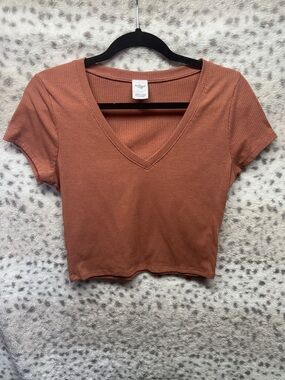DESTINED RIBBED V- NECK  CROP TOP